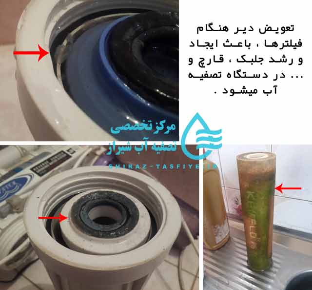  جلبک زدن در اثر تعویض دیر موقع فیلتر دستگاه تصفیه آب