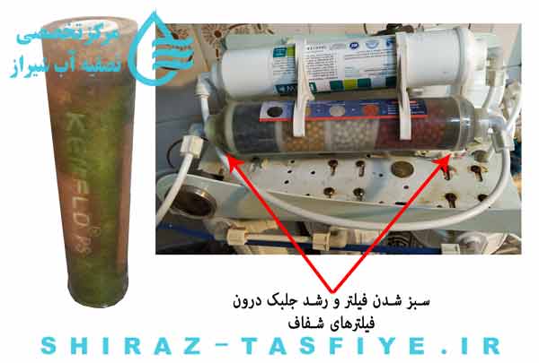 جلبک زدن فیلترهای تصفیه آب