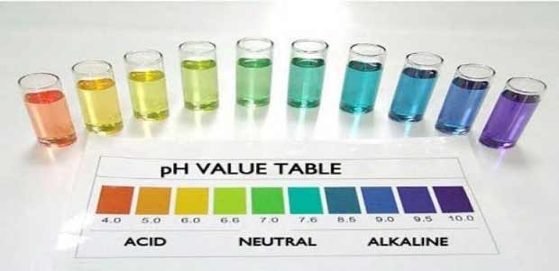 how to test ph of water تست اسیدیته آب