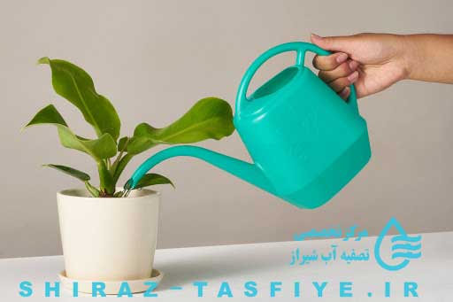 water life plant آبیاری گیاهان